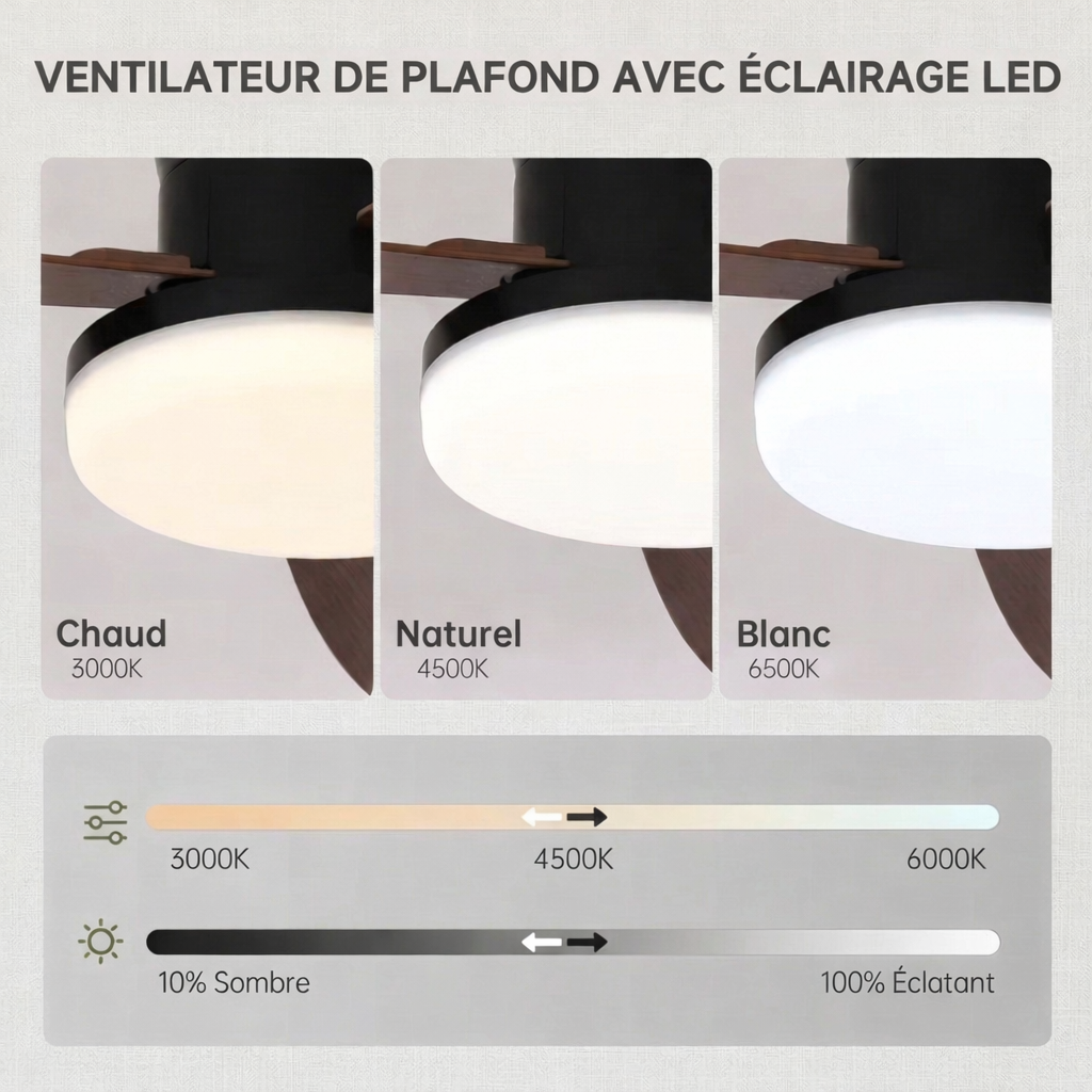 Ventilateur Plafonnier LED 102cm - L'Alliance du Design et du Confort