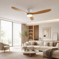 Terra | Ventilateur de plafond bois naturel