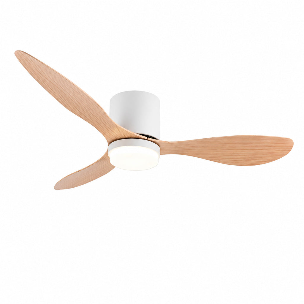 Plafonnier Ventilateur Style Moderne | VentiLum